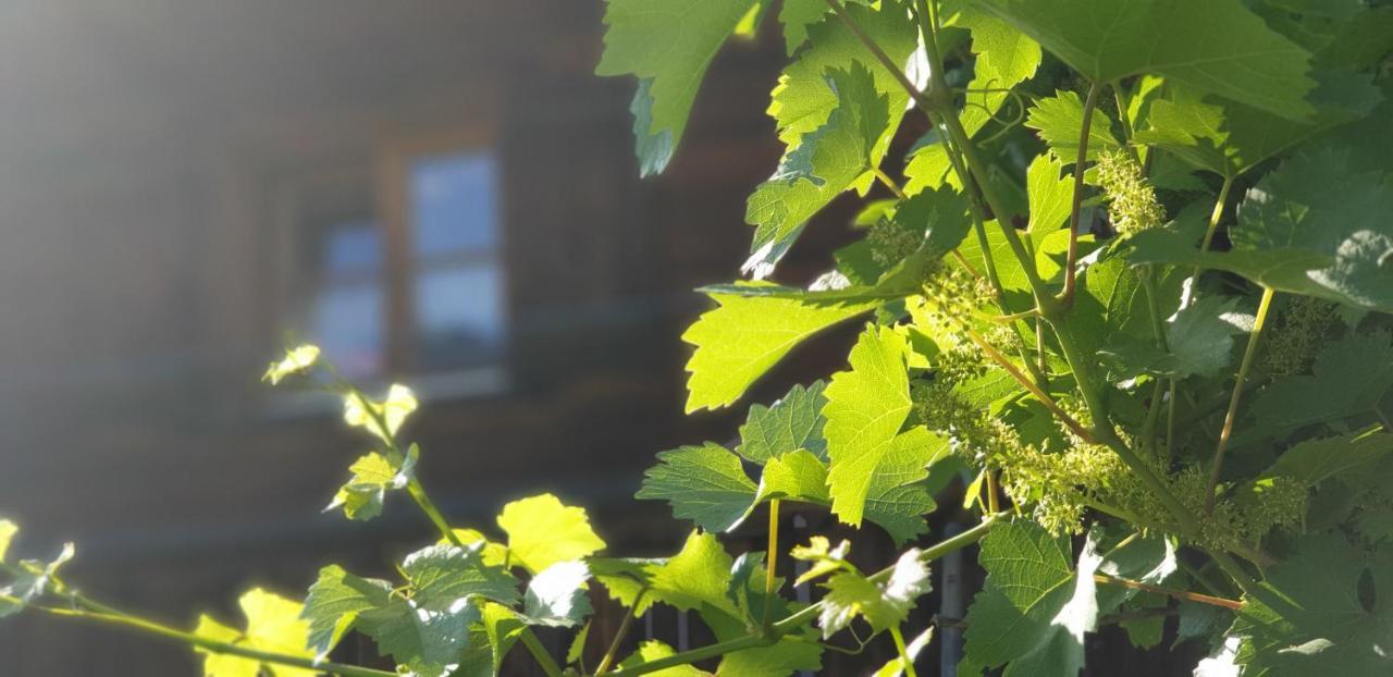 Ferienhaus & Ferienwohnung Winay Wayna Gotschna Blick Klosters Εξωτερικό φωτογραφία