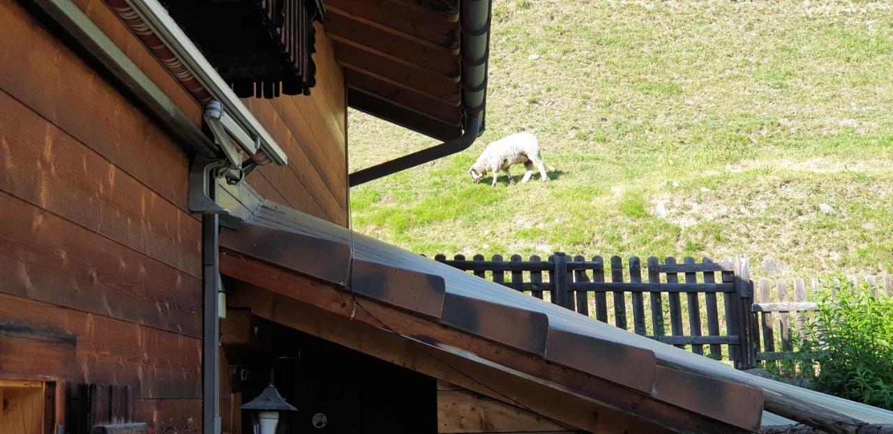 Ferienhaus & Ferienwohnung Winay Wayna Gotschna Blick Klosters Εξωτερικό φωτογραφία